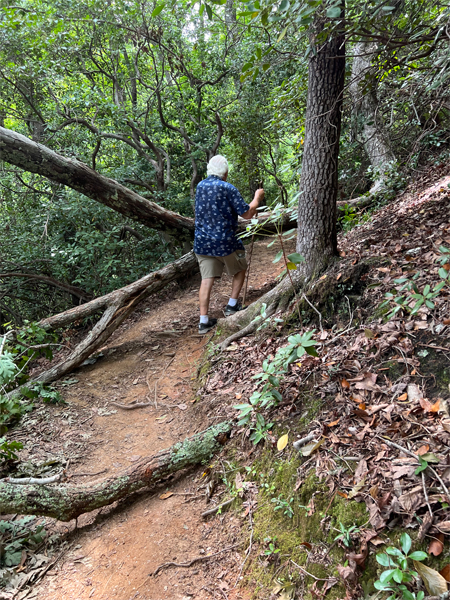 Lee Duquette climbing over a fat tree laying across the path