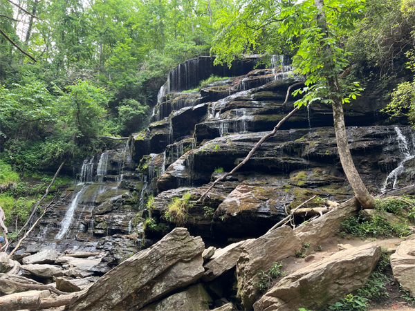 Yellow Branch Falls