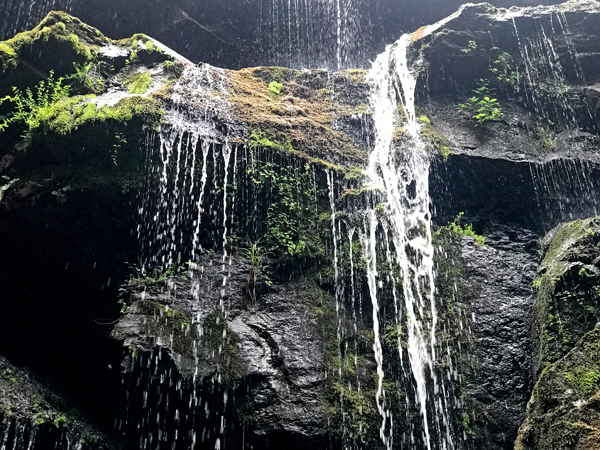 Yellow Branch Falls