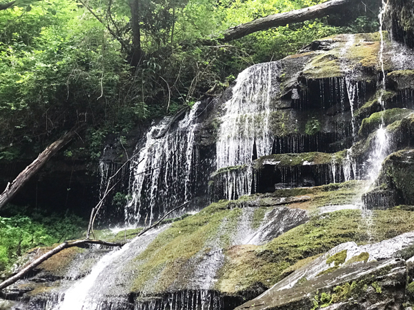 Yellow Branch Falls