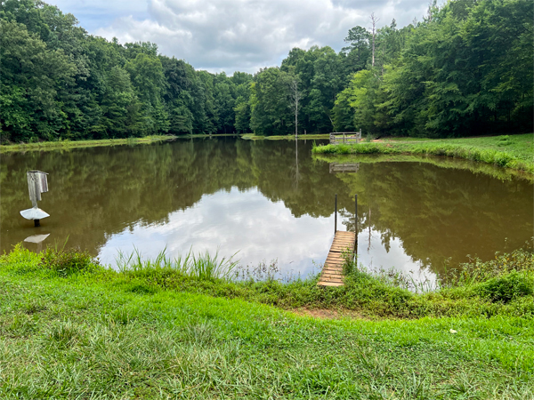 small pond with a nice reflection of the clouds