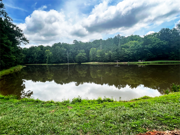 pond and  cloud reflection