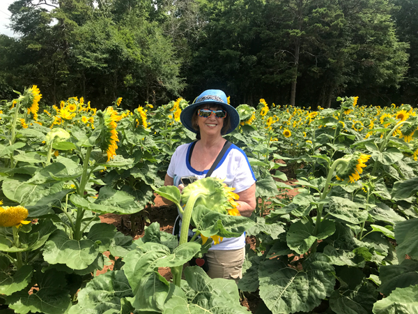 Karen Duquette and sunflowers