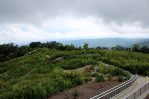 view of the Foothills trail