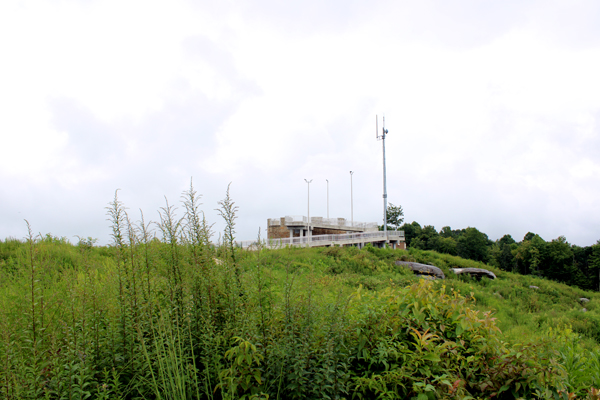 View of the tower