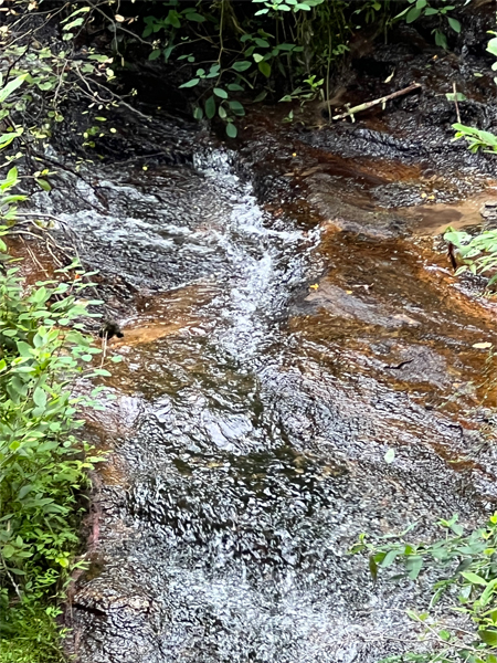 flow of water below the waterfall