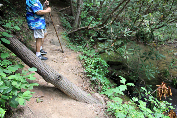 Lee Duquette by Reedy Cove Creek