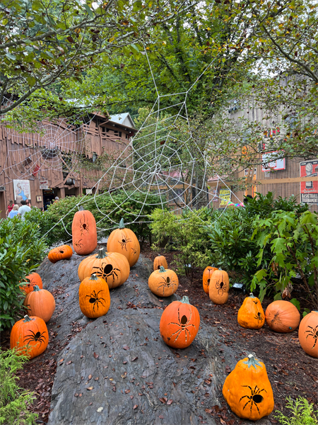 Pumpkin decorations in Dollywood