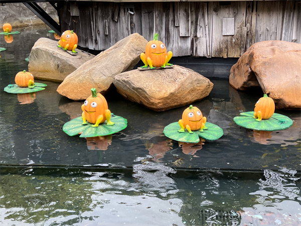 pumpkin frogs in Dollywood