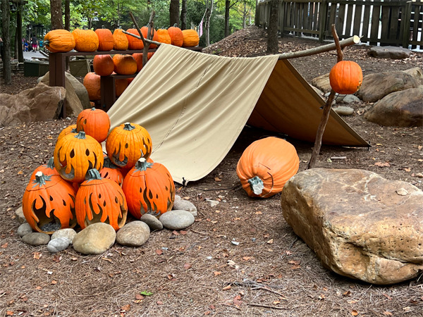 Pumpkin decorations in Dollywood