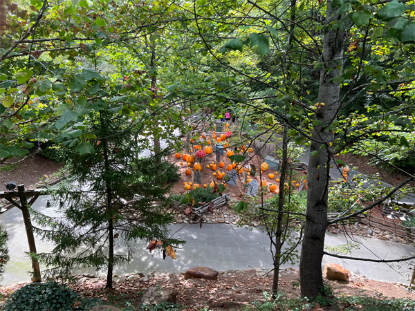 pumpkins in Dollywood