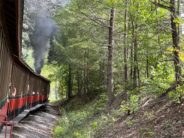 Dollywood Express train