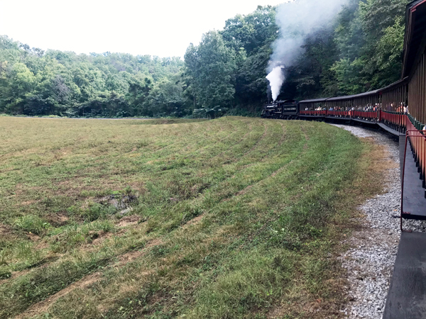 Dollywood Express train