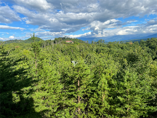 Smoky Mountains view from the back porch 