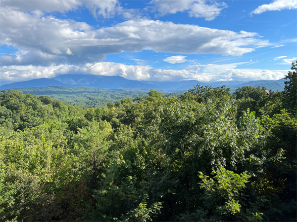 Smoky Mountains view from the back porch 