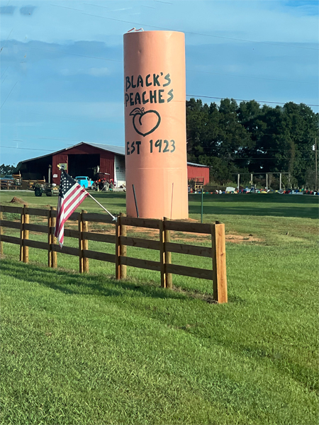 Black's Peaches tank