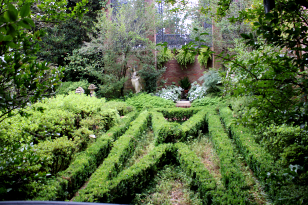 hedges in The Biedenharn Garden