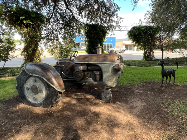 Calf and tractor