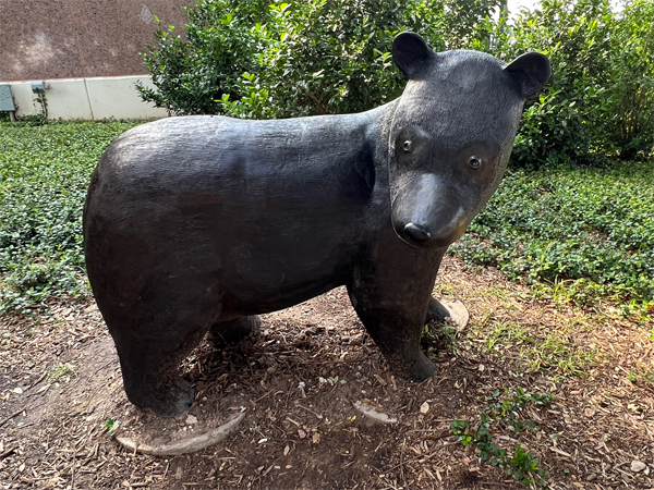 Winnie the bear