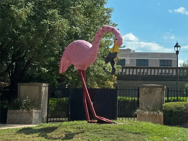 a big pink flamingo with sunglasses hanging out if its mouth