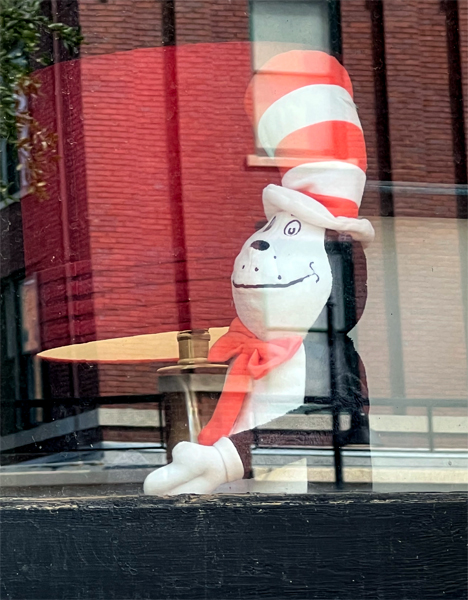 a bit cat in the hat