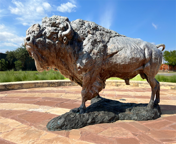 buffalo statue