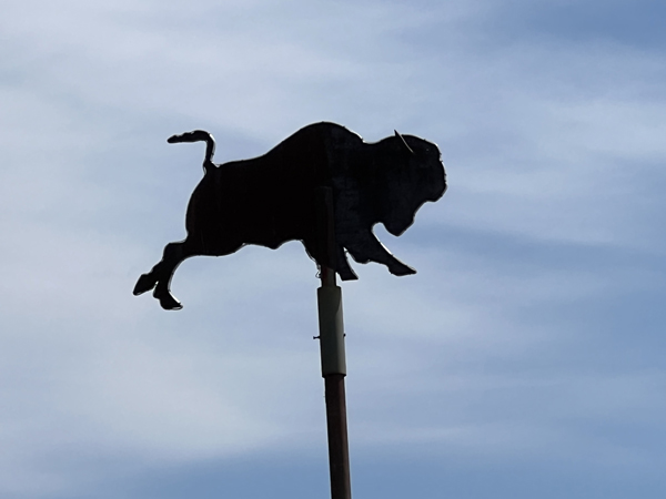 Buffalo wind vane