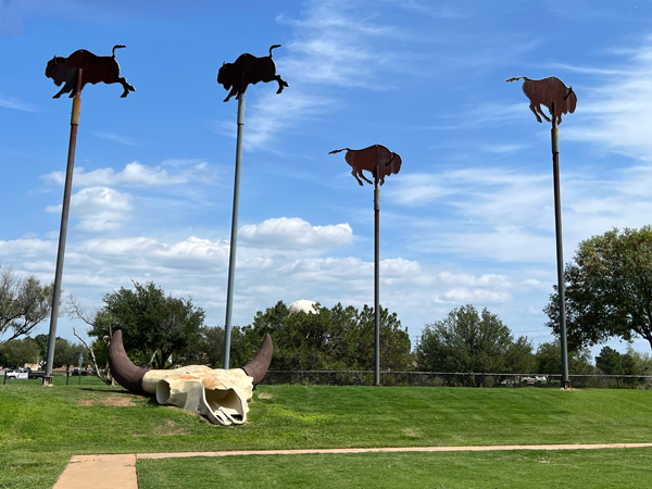 Buffalo wind vanes and the big buffalo skull