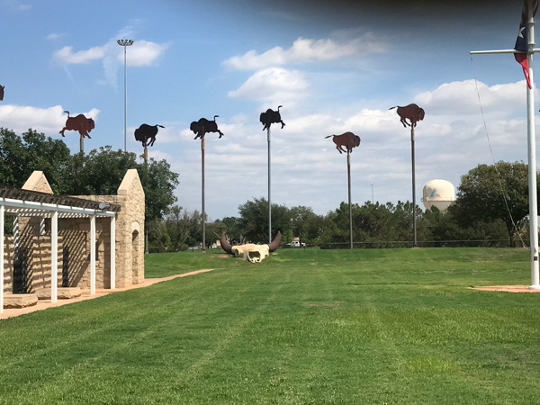 buffalo wind vanes and a buffalo skull