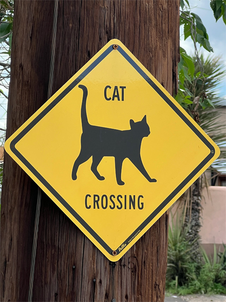 cat crossing sign