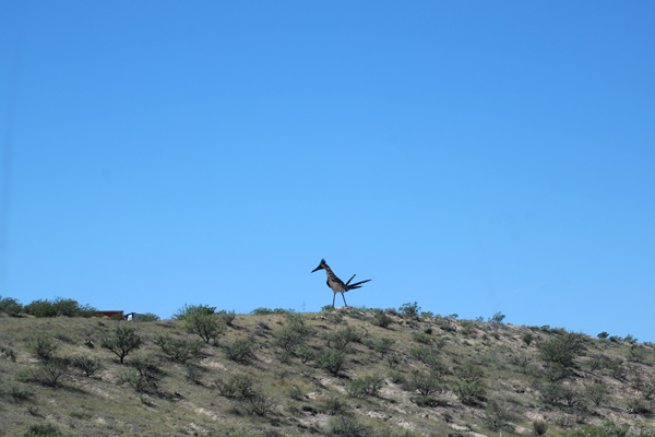 roadrunner statue