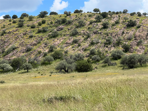 NM scenery