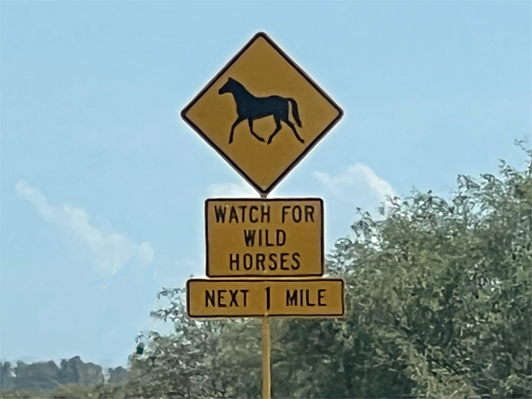 wild hroses sign