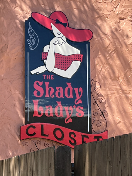 The Shady Lady's closet