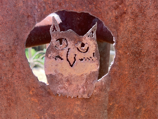 owl in a fence