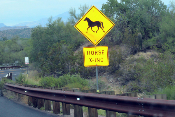 horse crossing sign