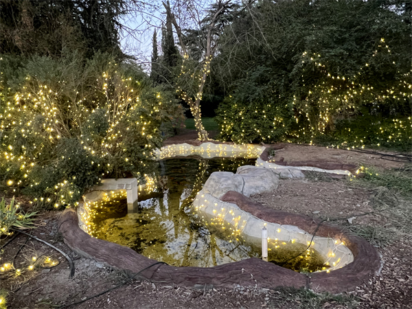 lights reflecting in a pond