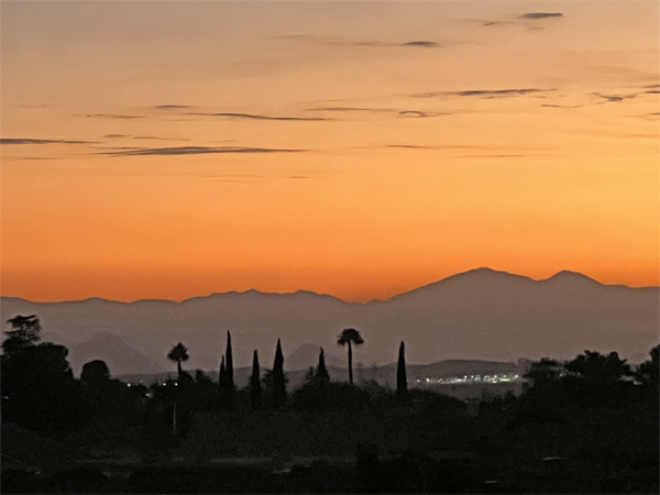 Olive Grove and the sunset over the mountains.