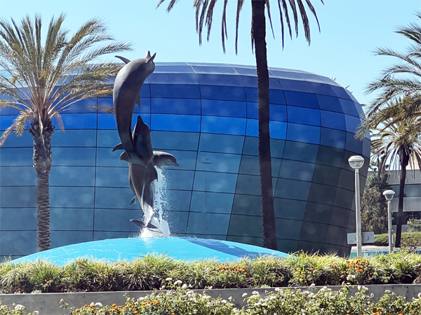 dolphins outside The Aquarium of the Pacific