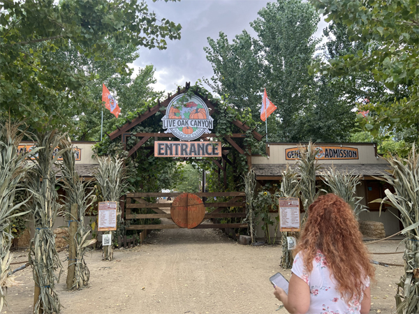 Ilse Blahak at the pumpkin farm entrance