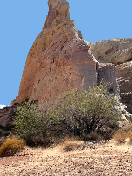 White Domes Trailhead