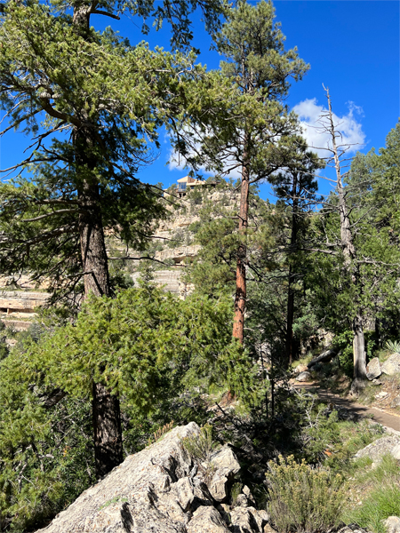 view in Walnut Canyon National Monument