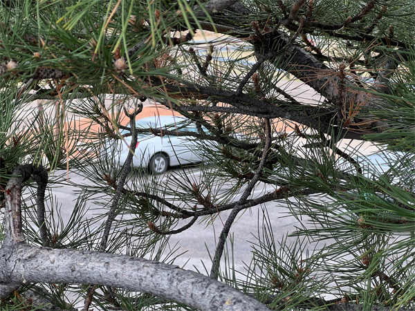 photographic view of the two RV Gypsies car