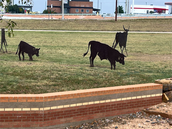 fake cows and Bison statues