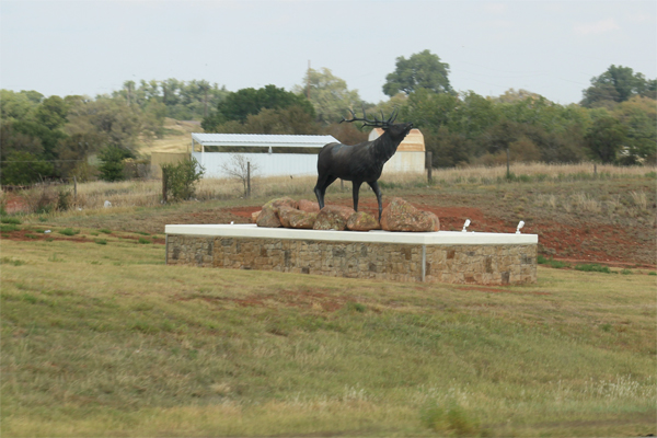 elk in Elk City