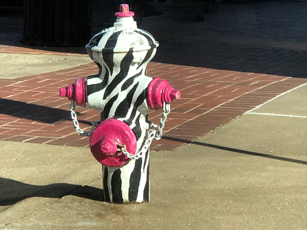 painted fire hydrant