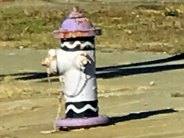 painted fire hydrant