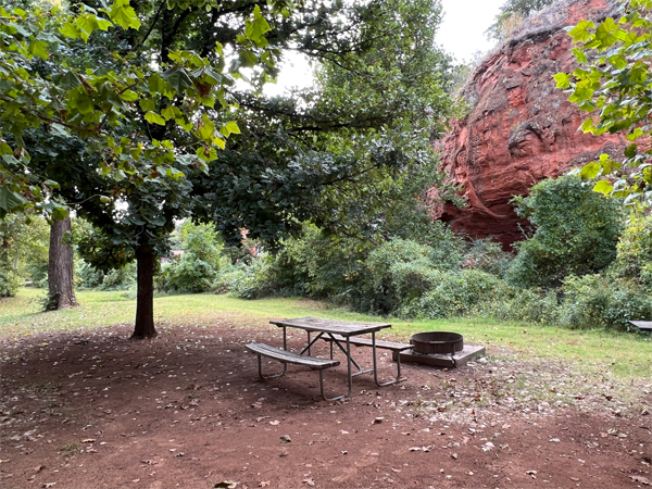 picnic table and fire ring