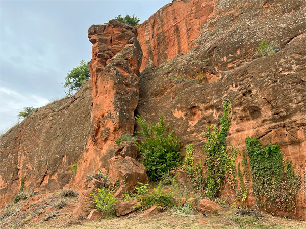 Stunning rouge canyon walls of red rock