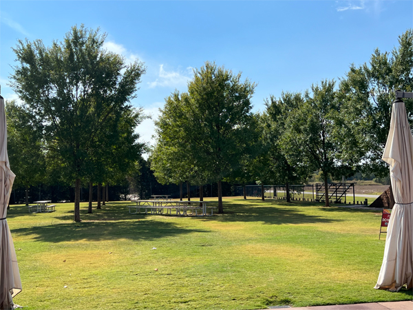 The back yard at Pops